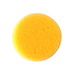 (image for) Small Hydra Sponge